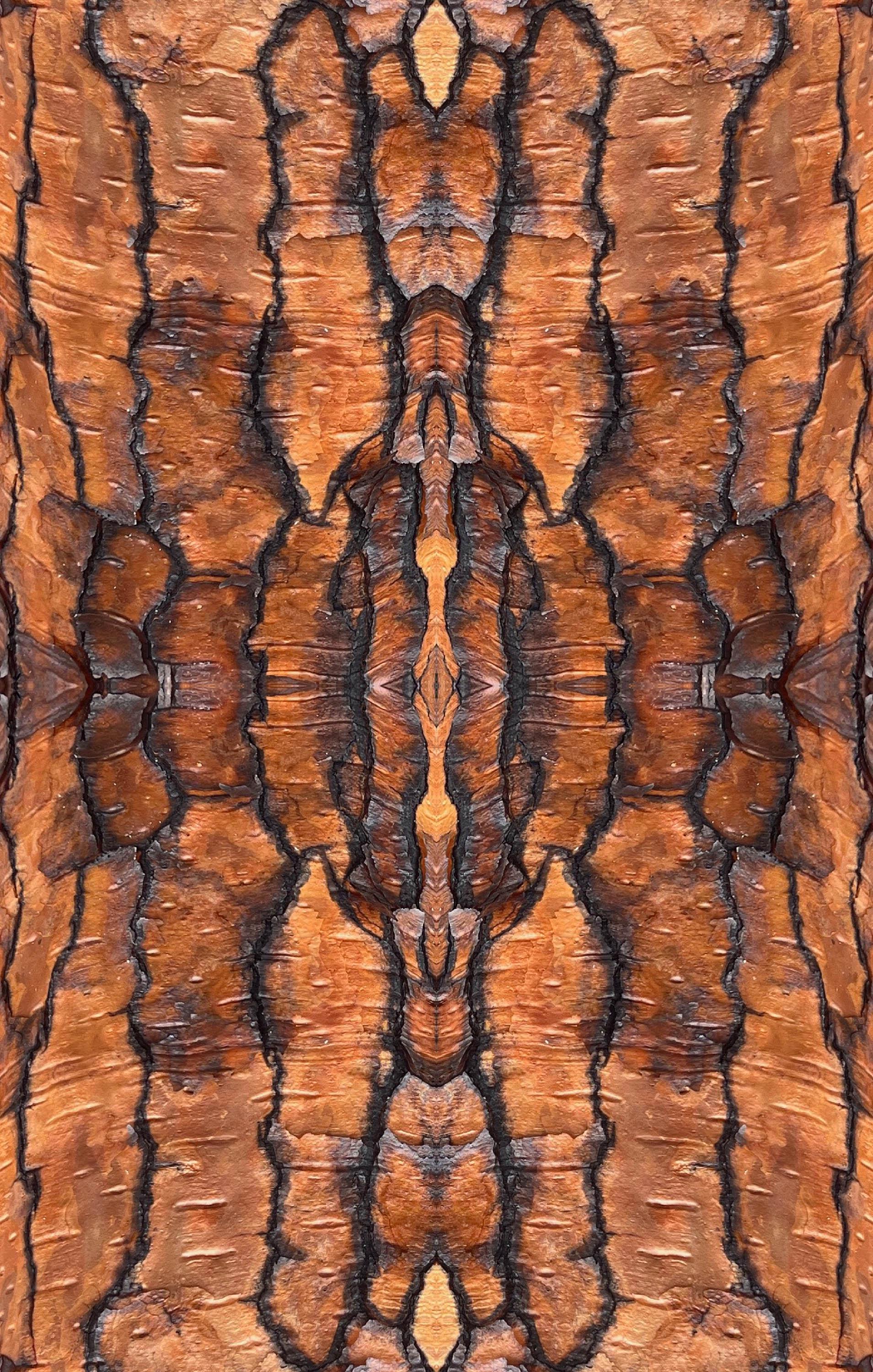 Abstract bark linen fabric, bold copper bark textile. Neutral designer fabric, contemporary luxury material for home decor. Curtaining