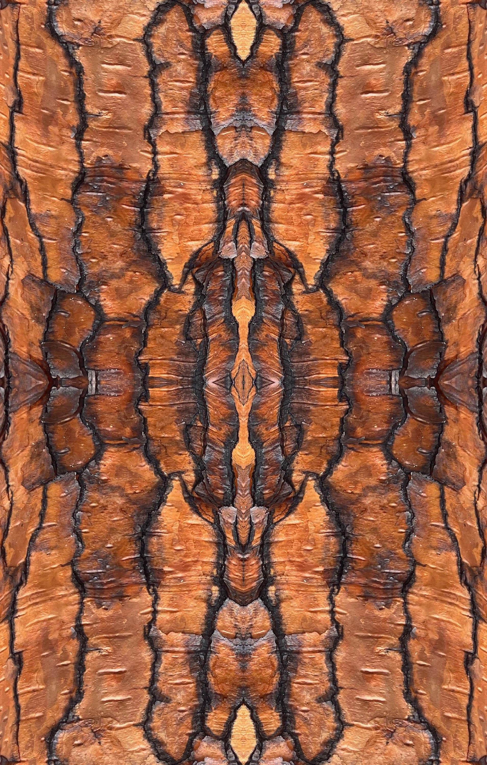 Abstract bark velvet fabric, bold copper bark textile. Neutral designer fabric, contemporary luxury material for home decor. Curtaining