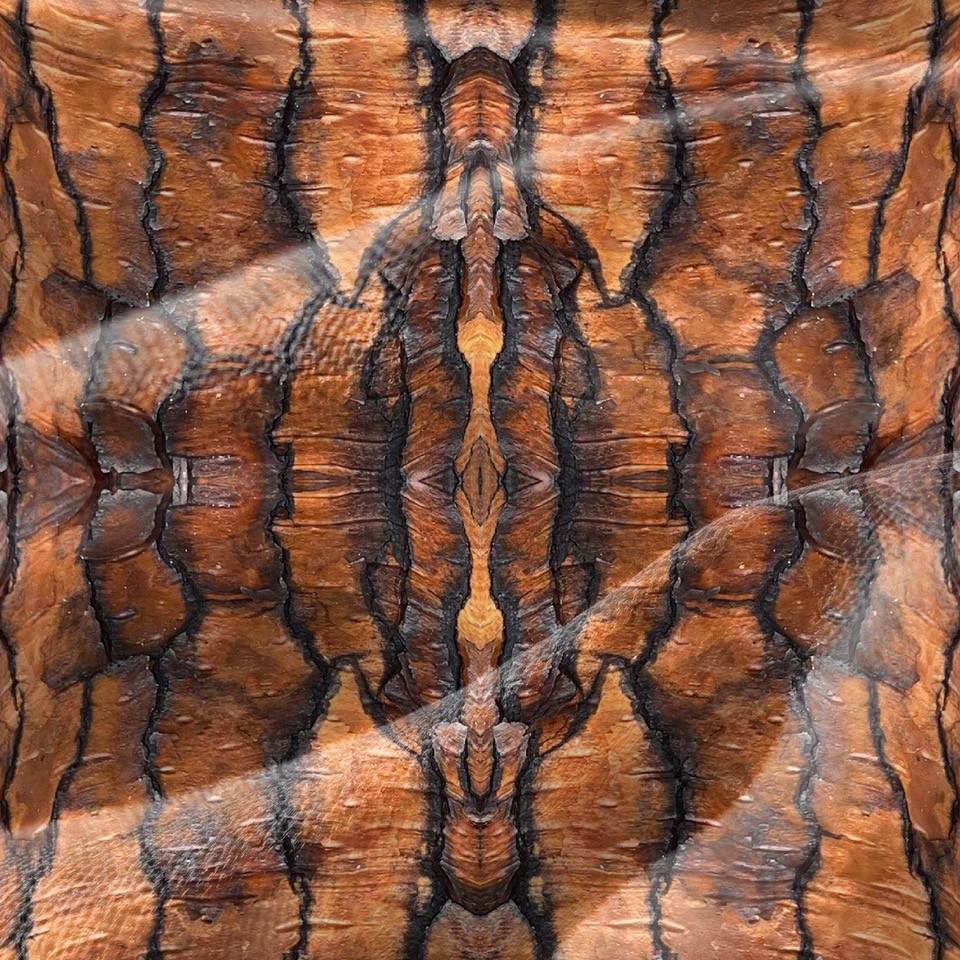 Abstract bark velvet fabric, bold copper bark textile. Neutral designer fabric, contemporary luxury material for home decor. Curtaining - image 3