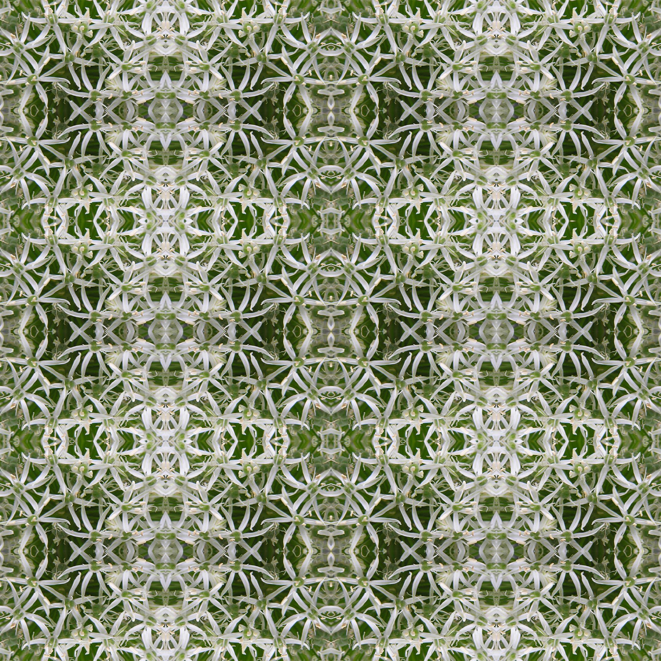 Abstract floral velvet fabric, subtle green floral textile. Neutral designer fabric, contemporary luxury material for home decor. Curtaining