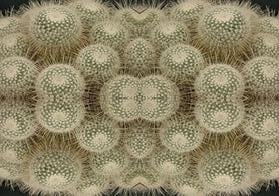 Abstract flower linen fabric, subtle beige floral textile. Neutral designer fabric, contemporary luxury material for home decor. Curtaining - image 2