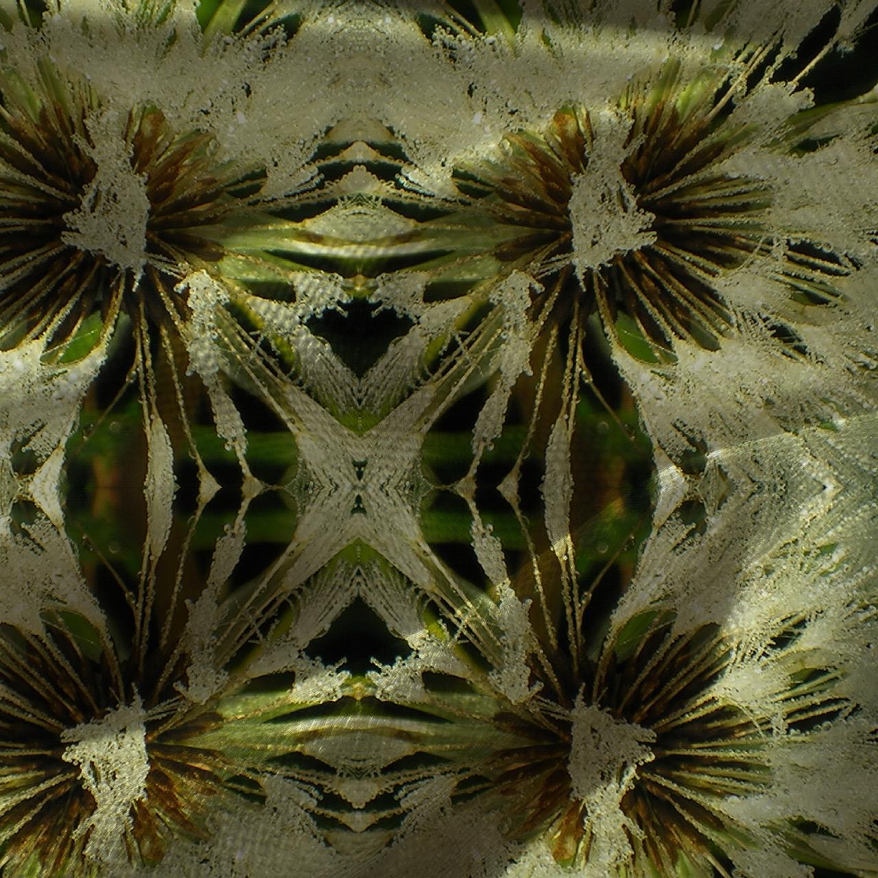 Abstract flower velvet fabric, fresh yellow floral textile. Neutral designer fabric, contemporary luxury material for home decor. Curtaining - image 2
