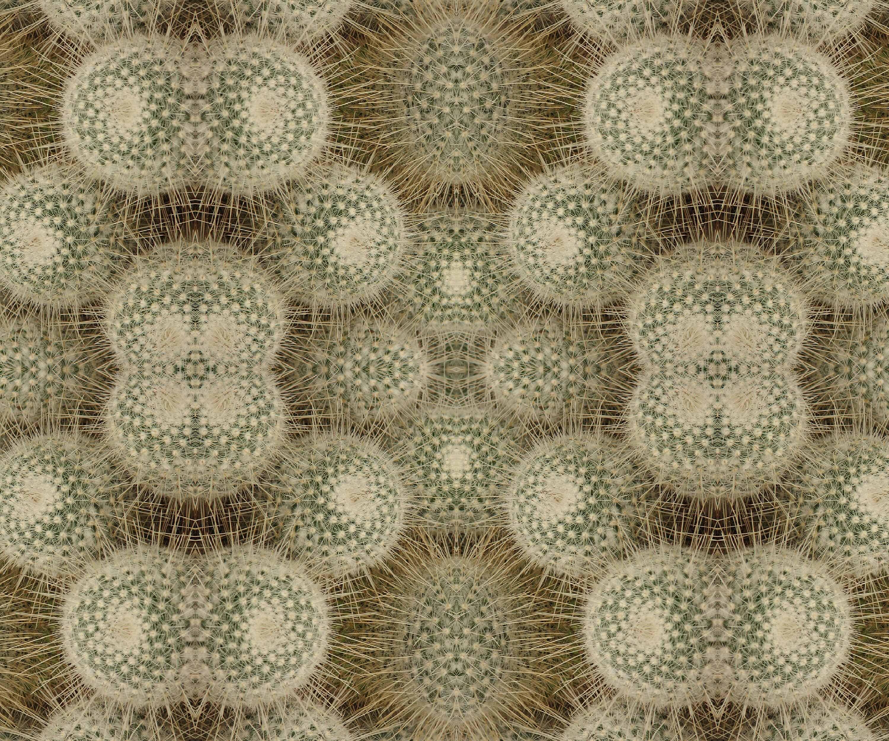 Abstract flower velvet fabric, subtle beige floral textile. Neutral designer fabric, contemporary luxury material for home decor. Curtaining - image 4