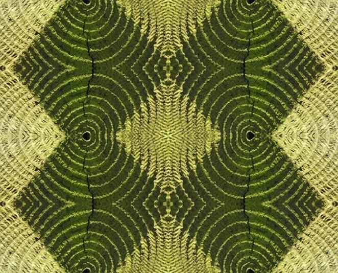 Abstract flower velvet fabric, subtle floral textile. Neutral designer fabric, contemporary luxury material for home decor. Curtaining